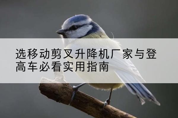 建昌电动升降机厂家-选移动剪叉升降机厂家与登高车必看实用指南