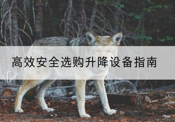 建昌升降货梯厂家推荐-*安全选购升降设备指南